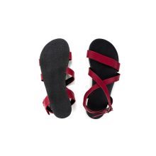 AHINSA SHOES BALLERINA BURGUNDY