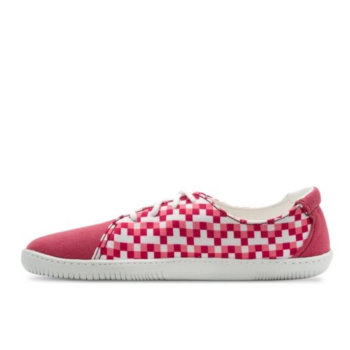 AYLLA CANVAS QUADRO RASPBERRY