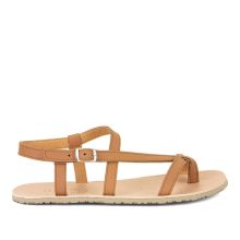 FRODDO FLEXY W 2026 COGNAC