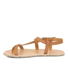 FRODDO FLEXY W 2026 COGNAC