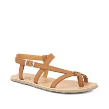 FRODDO FLEXY W 2026 COGNAC
