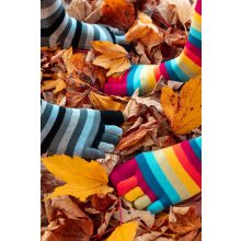 5 UJJAS ZOKNI RAINBOW